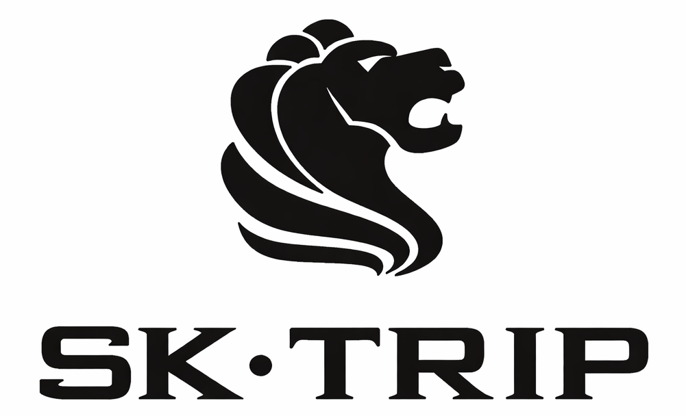 SK Trip Shoes - Comfortable Travel Footwear for Everyday Use